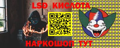 СК Волгодонск