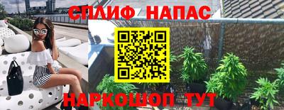 СК Волгодонск
