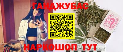 СК Волгодонск