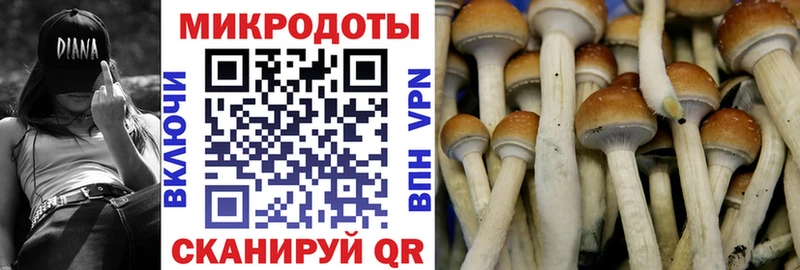Псилоцибиновые грибы Cubensis  купить наркотик  Дедовск 