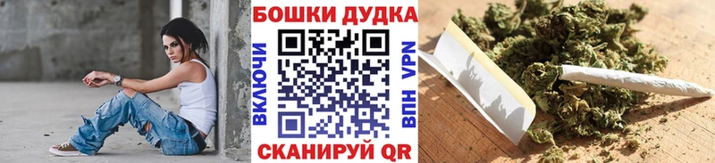 Конопля сатива  где можно купить   мега онион  Дедовск 